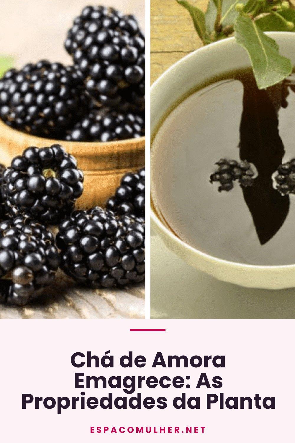 Chá de Amora Emagrece: As Propriedades da Planta