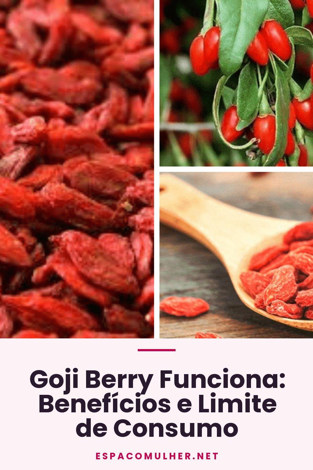 Goji Berry Funciona: Benefícios e Limite de Consumo